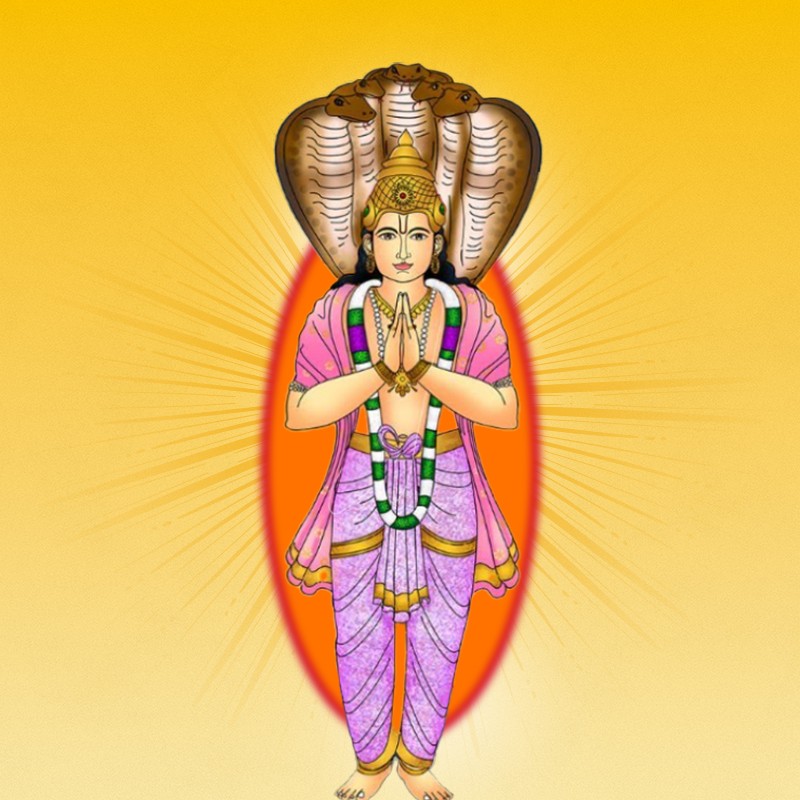 Rahu Puja
